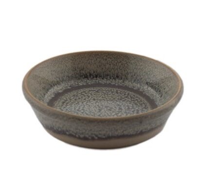 Schüssel Dudson