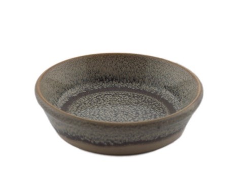 Schüssel Dudson